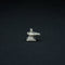 Shiva Lingam In Pure Silver 10 grams